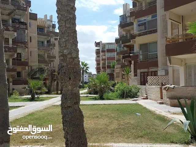 85 m2 2 Bedrooms Apartments for Rent in Alexandria Agami