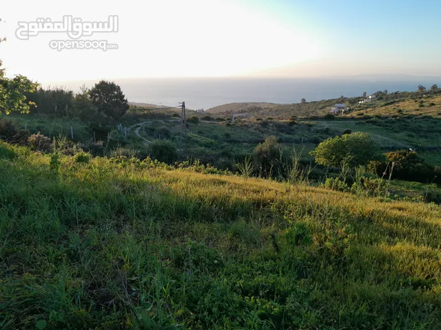 بقعة أرضية للبيع مساحتها 2495m (طنجة - المنار)