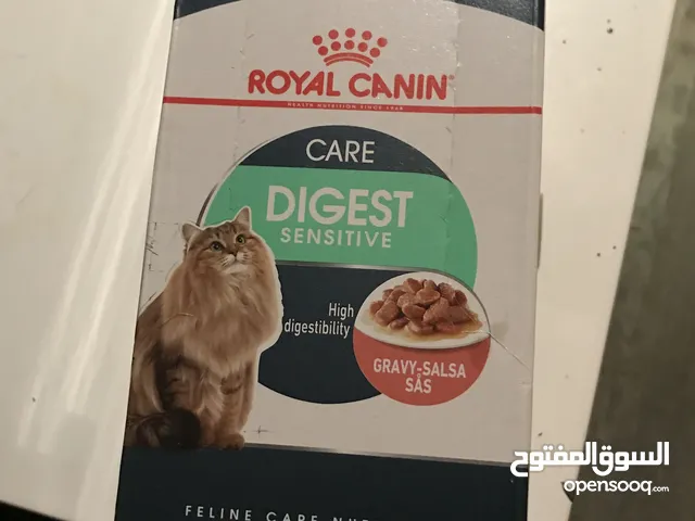 طعام قطط رطب للعناية الهضمية