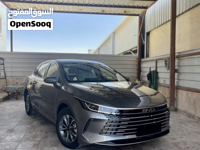2025 BYD Destroyer 05