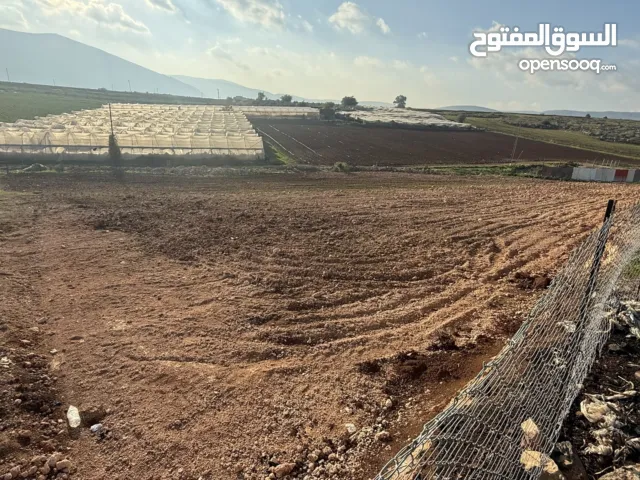 Mixed Use Land for Sale in Nablus Taluza