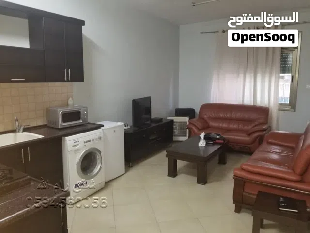 50 m2 Studio Apartments for Rent in Ramallah and Al-Bireh Al Irsal St.