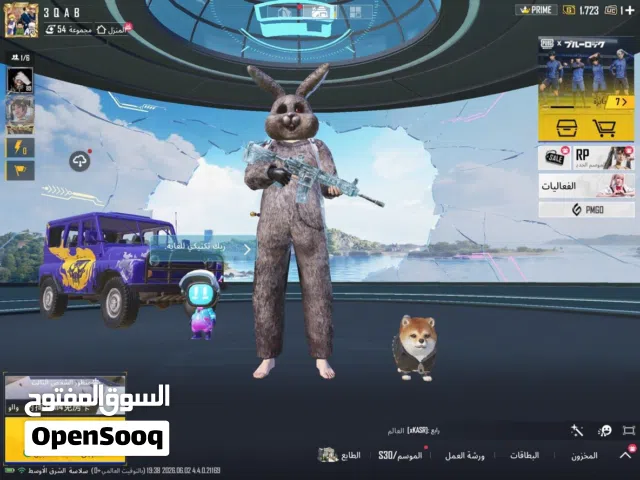 Pubg Accounts and Characters for Sale in Ras Al Khaimah