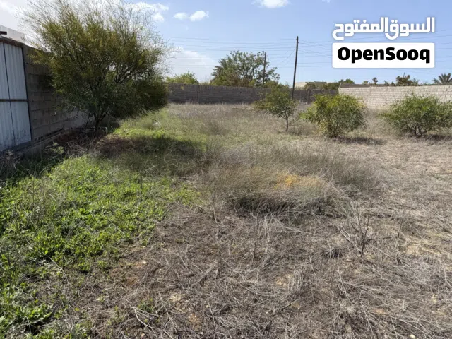 Mixed Use Land for Rent in Tripoli Janzour