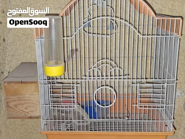قفص عصافير جديد بجميع مشتملاته من قفص بياضه خشبي+ اوعية للمياة والاكل +عود للوقوف +عظمة حبار