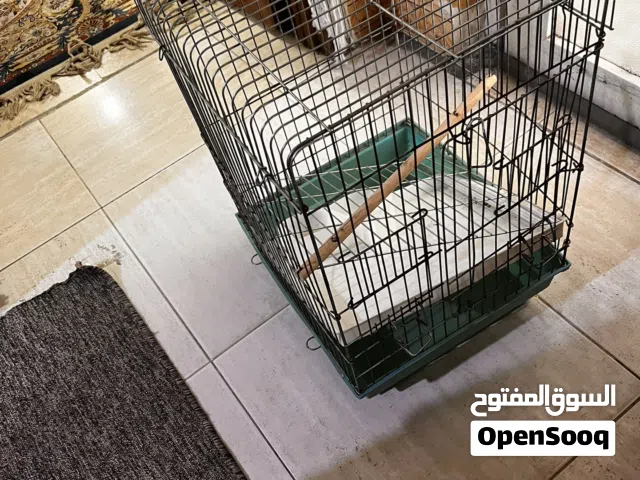 قفص للطيور