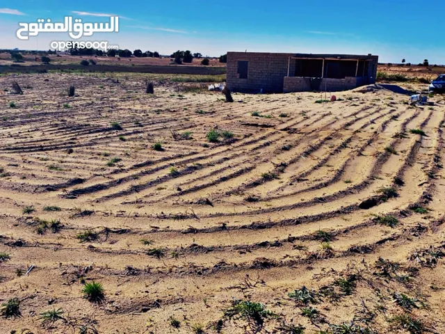 Farm Land for Sale in Zuwara Other
