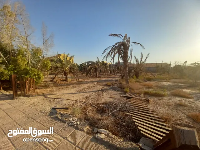 Farm Land for Sale in Salt Al Balqa'