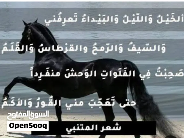 دروس خصوصية فى اللغة العربية والنحو والصرف والبلاغة