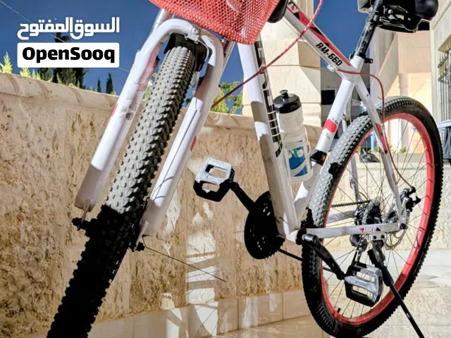 بسكليت جنط 29
