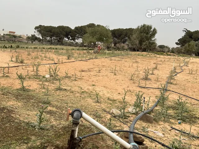 Residential Land for Sale in Zawiya Western Zawiya