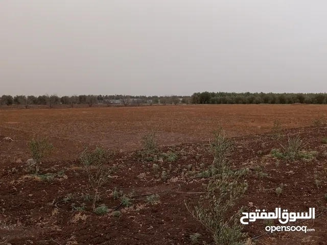 Mixed Use Land for Sale in Béni Mellal Other
