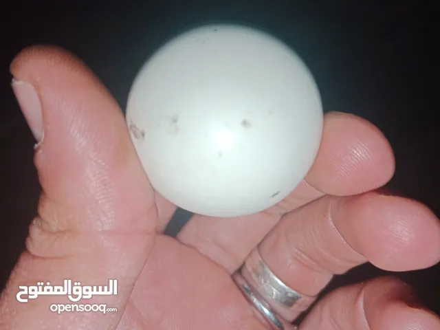 ألماس سداسي