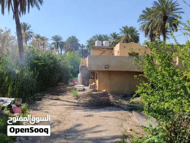 بيت للإيجار مساحة 400 متر، العنوان: بغداد – البوعيثة.