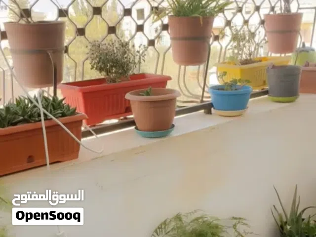 بيع عقار شقه