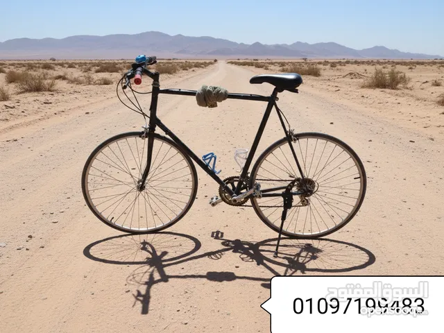 عجلة رود بوتيشيا إيطالي مقاس 29 أكبر مقاس سرعات وارد من الخارج المونيوم