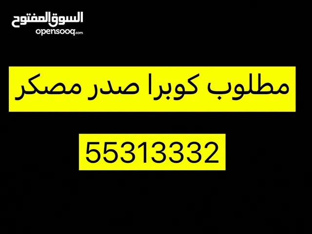 مطلوب كوبرا صدر مصكر