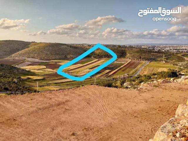 Mixed Use Land for Sale in Hebron Other