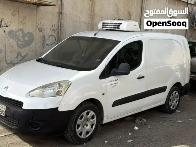 2014 بيجو اخرى