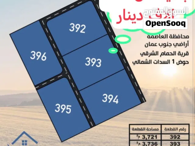 فرصة ذهبية للاستثمار - أراضي جنوب عمان -الحمام الشرقي