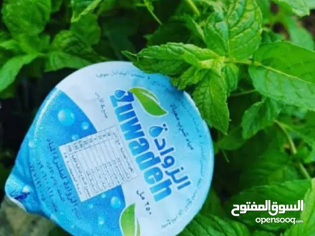 شركة زوادة للمياه النقية