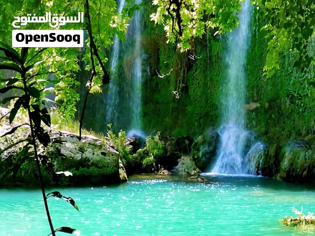 دار سكن للبيع