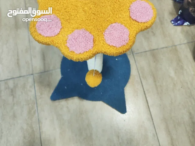 من احلى واجمل انواع الخداشات واجملهم على الاطلاق من ناحيه الوان والجوده