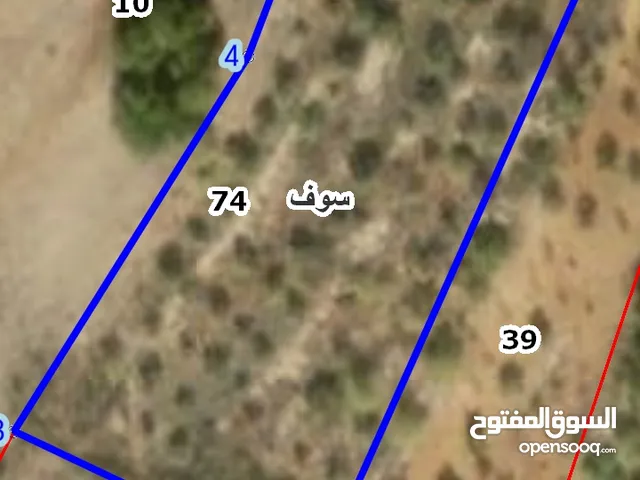 Farm Land for Sale in Jerash Soof