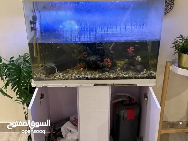 االسلام عليكم للبيع حوض سمك