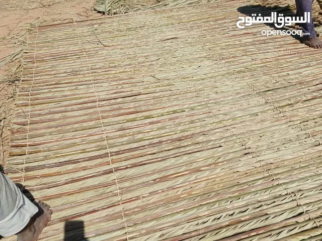 موقع شركه ساس البلد