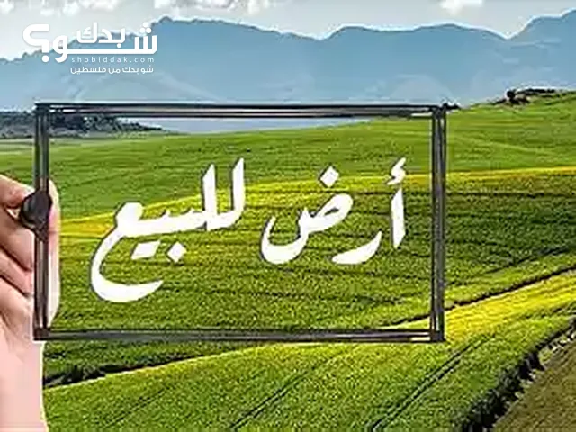 Farm Land for Sale in Tulkarm Al Jarushiyya