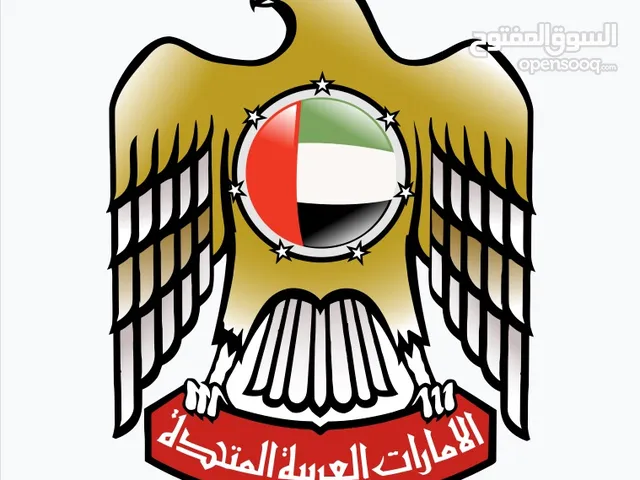استثمار وإدارة المشاريع