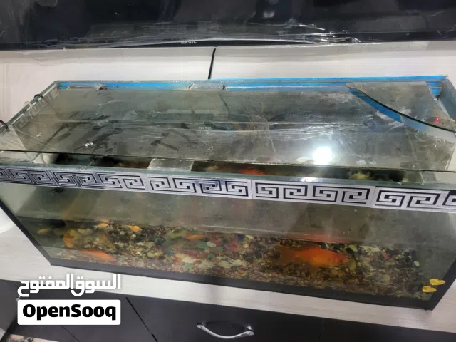 حوض سمك مع سمكات