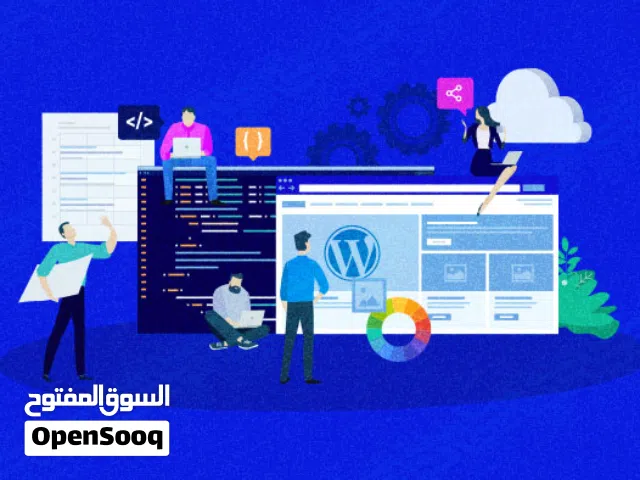 برمجة ، تطوير مواقع ، حلول مشكلات برمجية ، إنشاء متاجر إلكترونية على زد وسلة
