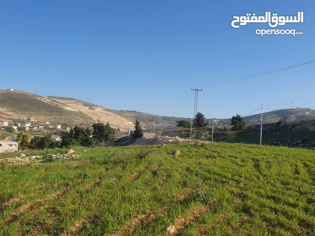 Mixed Use Land for Sale in Zarqa Al-Kamsha