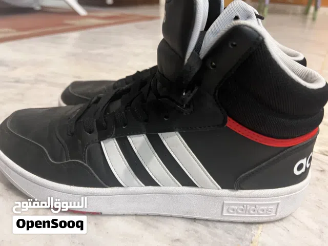 Adidas  Hoops  Mid 2.0