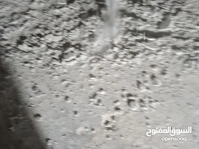 هدم وتكسير طوفه وسرميك وكل شي