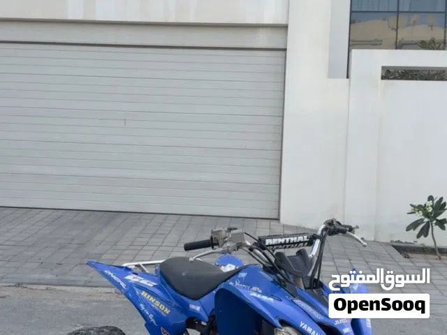 2010 Yamaha Other