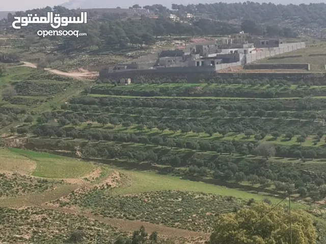 Farm Land for Sale in Jerash Amamah