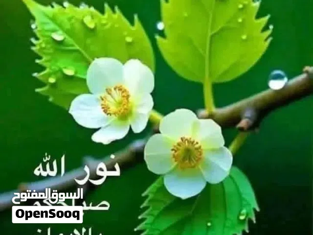 بيع وشركة نشاطه اللطباعه وانشرا للبي
