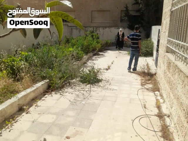 شقه تسويه مع حديقه واسعه للبيع ضاحية الرشيد بسعر مغري