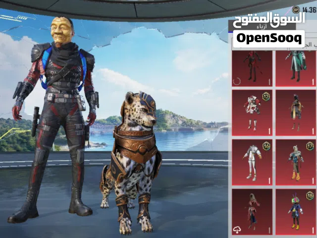 Pubg Accounts and Characters for Sale in Zliten