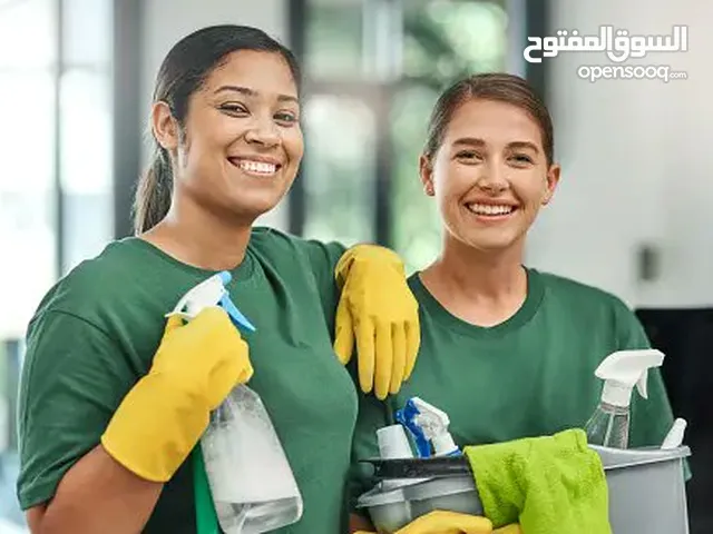 cheapest housemaids