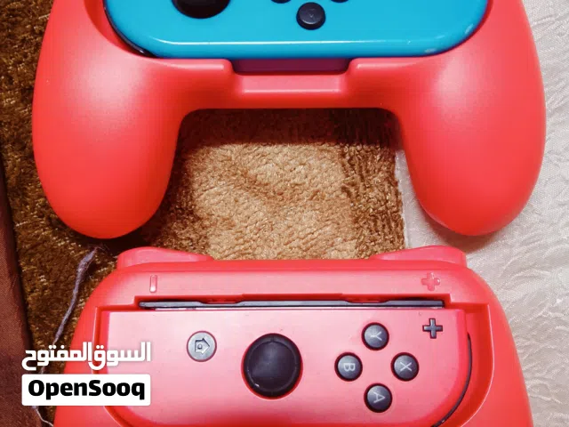 Nintendo Switch grips