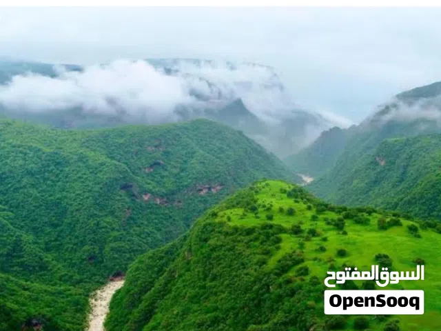 600 m2 1 Bedroom Apartments for Rent in Dhofar Salala