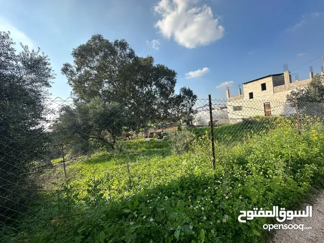 Mixed Use Land for Sale in Tulkarm Far'un