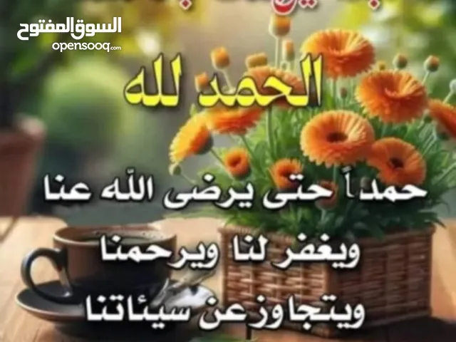 مطلوب ممول. لمشروع مربح