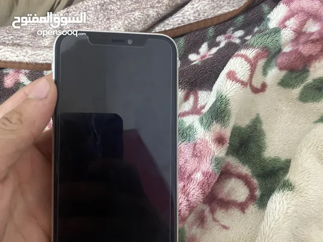 iPhone 11 العادي