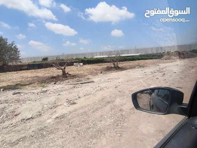 قطعة ارض 600 متر طابو للبيع في قلقيلية