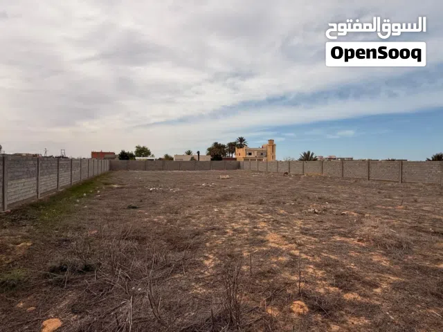 2500 ميترو مصورات بل الكامل في السواني